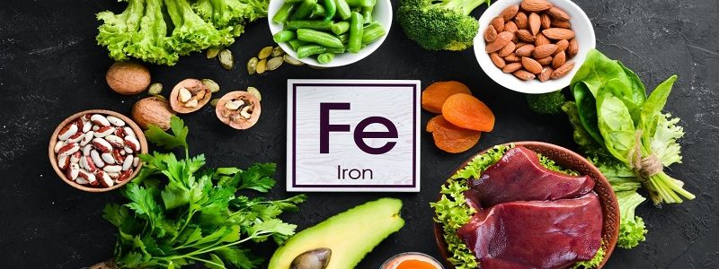 متخصص تغذیه و رژیم درمانی اصفهان کدام مواد غذایی برای تامین آهن بدن موثر است ؟